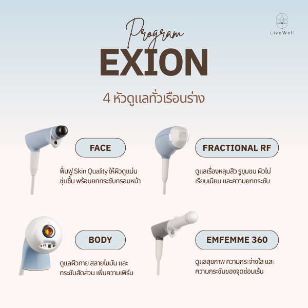 โปรแกรม exion